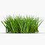 Grass 2