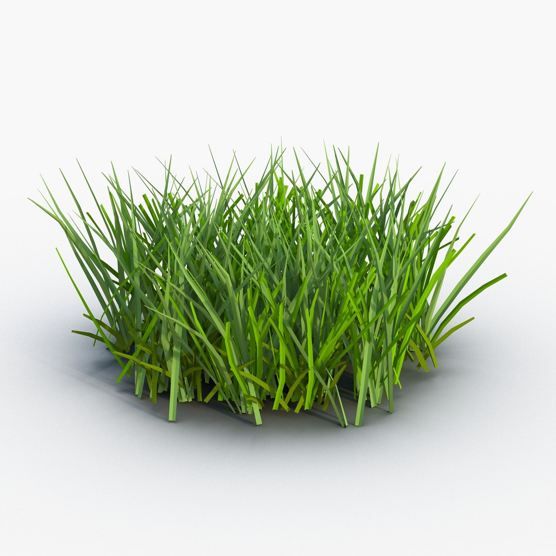 Grass 2 3D model preview