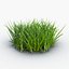 Grass 2