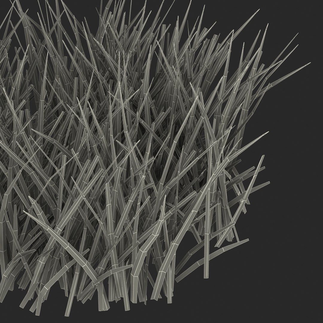3d grass 2 https://p.turbosquid.com/ts-thumb/h3/3LUd0T/IQWqC1u0/grass3dmodel16/jpg/1447152499/1920x1080/fit_q87/68bdb5526e227aba2eab7adeba1a9765aaebb7fa/grass3dmodel16.jpg