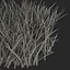 Grass 2