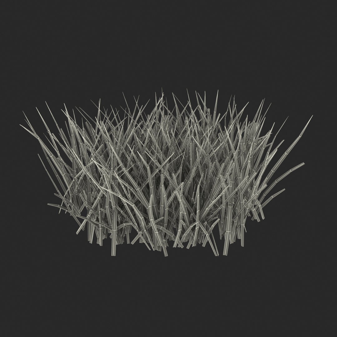 3d grass 2 https://p.turbosquid.com/ts-thumb/h3/3LUd0T/KkCgjIc6/grass_2_361/jpg/1447152886/1920x1080/turn_fit_q99/75b04e1f83f570e0c80f03e223bc5e398fdbab73/grass_2_361-1.jpg