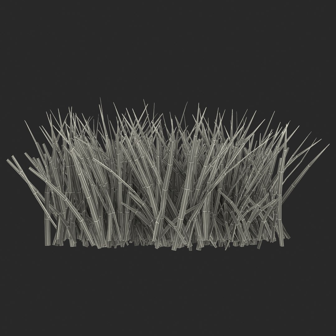 3d grass 2 https://p.turbosquid.com/ts-thumb/h3/3LUd0T/PCXltvxA/grass3dmodel14/jpg/1447152499/1920x1080/fit_q87/bd5fbb5f76e41833b9994c7e20f06b209d04bdde/grass3dmodel14.jpg
