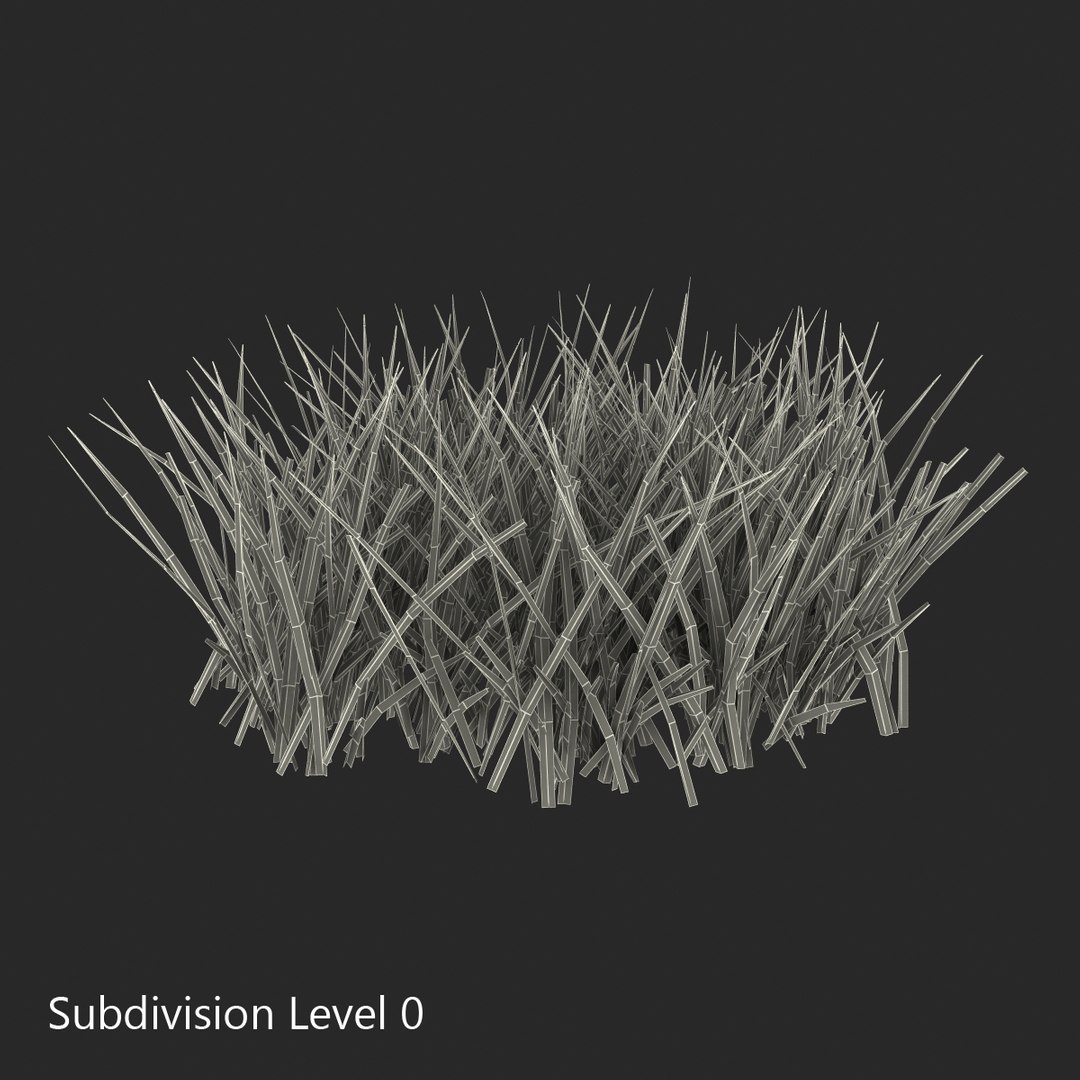 3d grass 2 https://p.turbosquid.com/ts-thumb/h3/3LUd0T/Se1KeV8w/grass3dmodel09/jpg/1447152499/1920x1080/fit_q87/a715a060cfd1bd1cbcc72404001cf3a5a2eddfca/grass3dmodel09.jpg