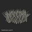 Grass 2