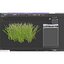 Grass 2