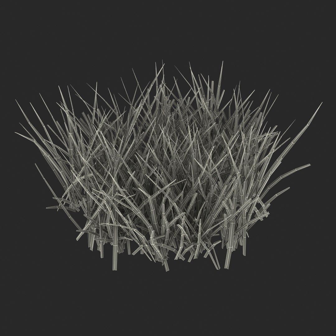 3d grass 2 https://p.turbosquid.com/ts-thumb/h3/3LUd0T/dG9QhxhY/grass3dmodel13/jpg/1447152499/1920x1080/fit_q87/0db5297ba33b762d2708cb71222723c9576e18f4/grass3dmodel13.jpg