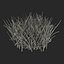 Grass 2