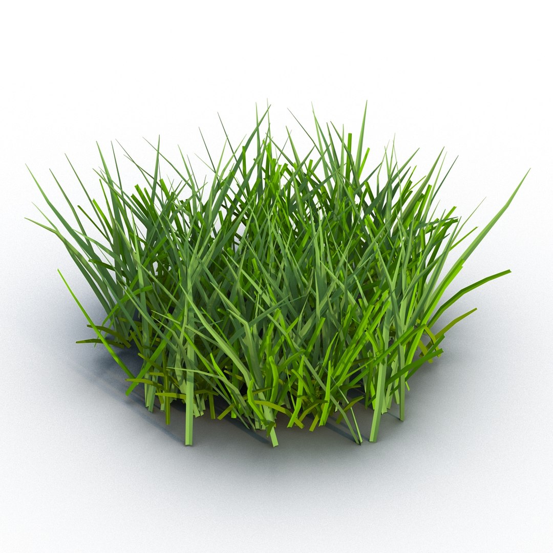 3d grass 2 https://p.turbosquid.com/ts-thumb/h3/3LUd0T/gMtnerQi/grass3dmodel03/jpg/1447152498/1920x1080/fit_q87/b8ac8b9f320994a813dcffc95456e185028385e3/grass3dmodel03.jpg