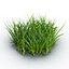 Grass 2