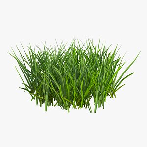 3d grass 2