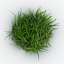 Grass 2