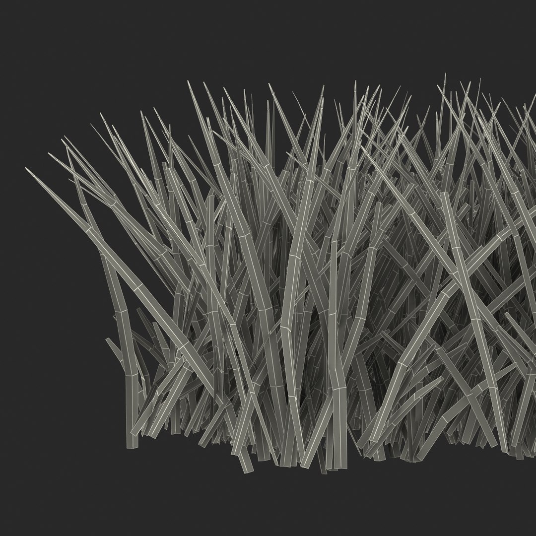 3d grass 2 https://p.turbosquid.com/ts-thumb/h3/3LUd0T/ugpBfyoT/grass3dmodel15/jpg/1447152499/1920x1080/fit_q87/aa19520f5639292cbde6e3fee345843a22199298/grass3dmodel15.jpg
