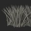 Grass 2