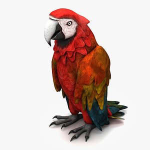 max parrot species