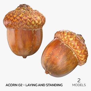 3D model Acorn 02 - Laying and Standing