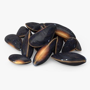 Bunch of Clams