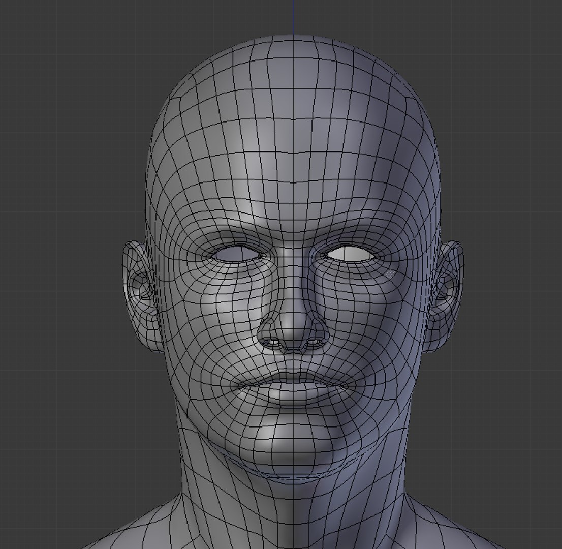 3d Model Of Mesh Man