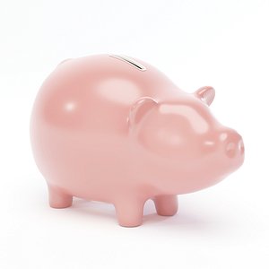 Piggy Bank