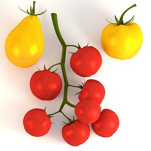tomatoes