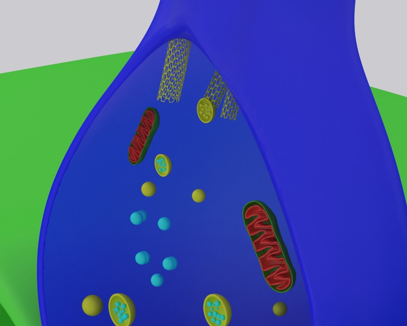 Synapse Neuron 3D Model - TurboSquid 1326126