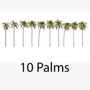 Palms 011-020 with LODs 3D model