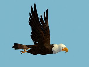 eagle 3D model