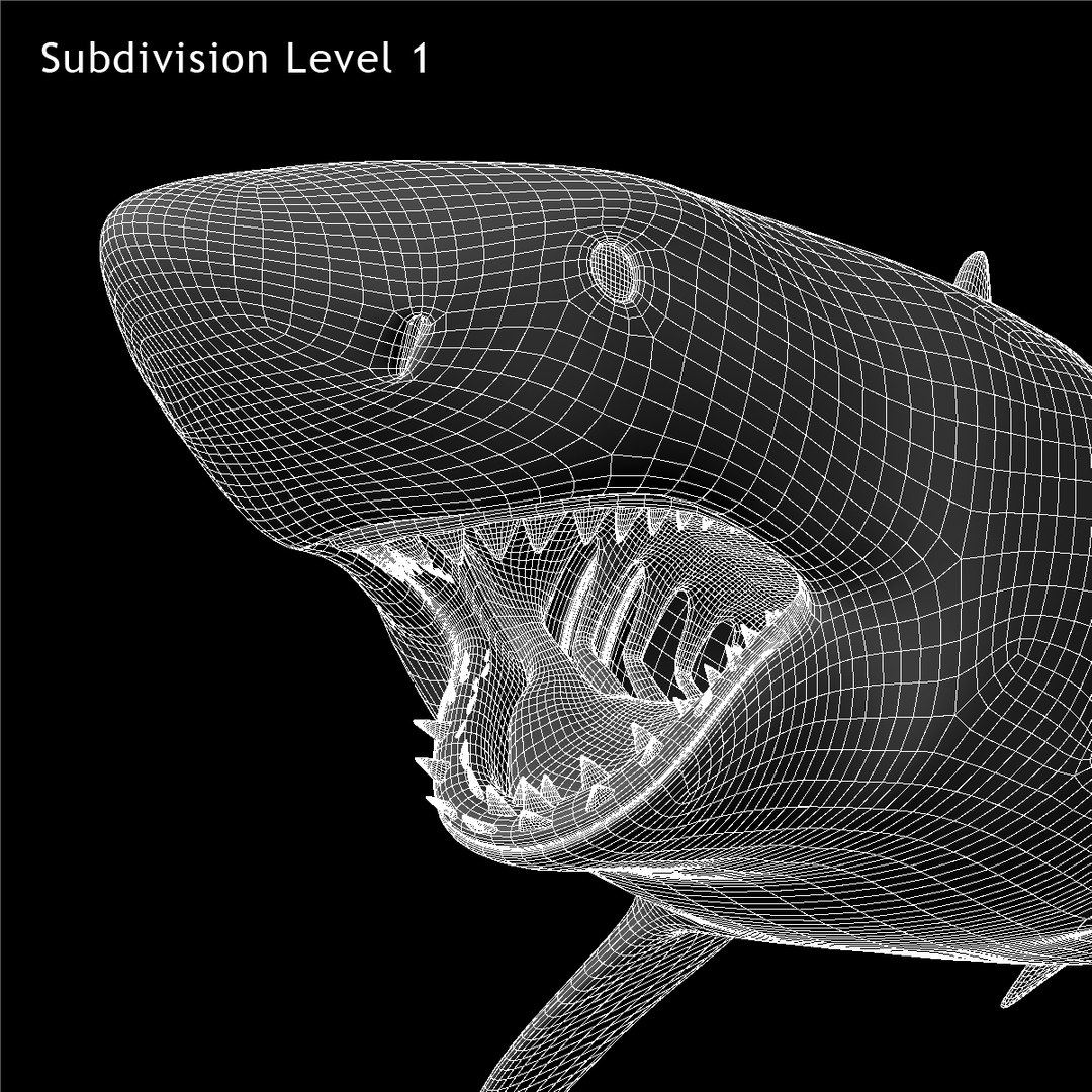 maya carcharodon carcharias great white https://p.turbosquid.com/ts-thumb/h3/tNb6W2/u3U0A9mQ/ww06/jpg/1416569329/1920x1080/fit_q87/860e3585a0084068f61257547e1b66b7afff4725/ww06.jpg