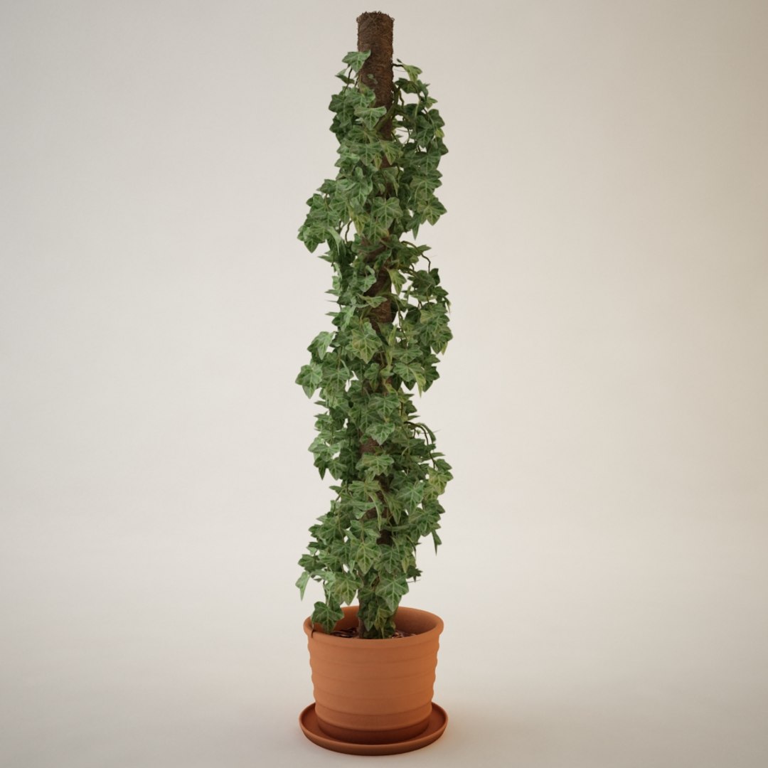 plant pot 3d max https://p.turbosquid.com/ts-thumb/h3/vnxxCv/guIqMbYE/previewpianta002a/jpg/1347805413/1920x1080/fit_q87/3b1e6c9af22a27bbe6b4061790227895ca74d20e/previewpianta002a.jpg