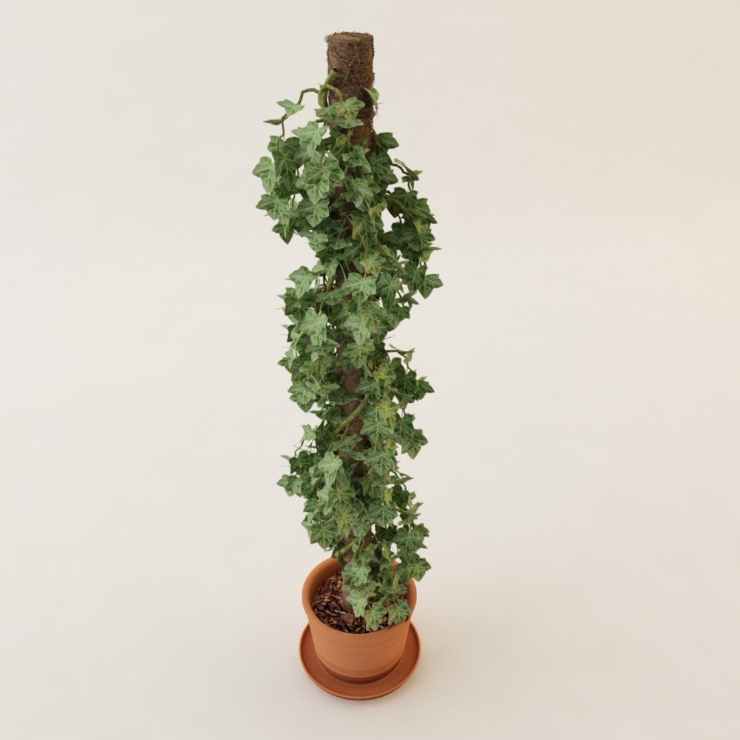 plant pot 3d max https://p.turbosquid.com/ts-thumb/h3/vnxxCv/rgXHZWX4/previewpianta002c/jpg/1347805413/1920x1080/fit_q87/be4fb33c5139bba1a3c0f2a46f1870f709ef9944/previewpianta002c.jpg