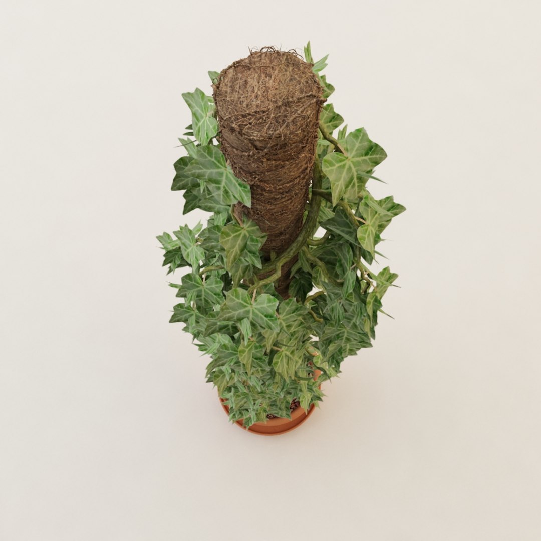 plant pot 3d max https://p.turbosquid.com/ts-thumb/h3/vnxxCv/uH3knlzp/previewpianta002b/jpg/1347805413/1920x1080/fit_q87/10b1e212789d4172904ce7ad152d24c0c2d8cf09/previewpianta002b.jpg