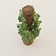 Plant for architectural interiors type B