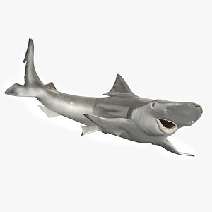 Realistic Spadenose Shark Rigged