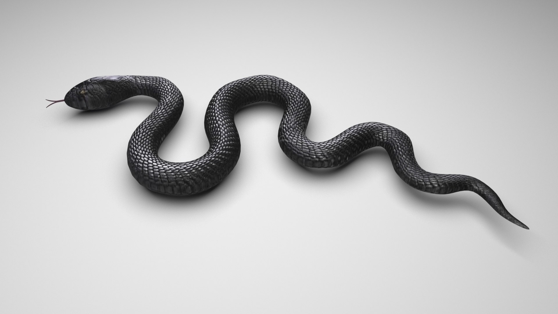 Python snake dark brown colour snake 3D model - TurboSquid 1958339