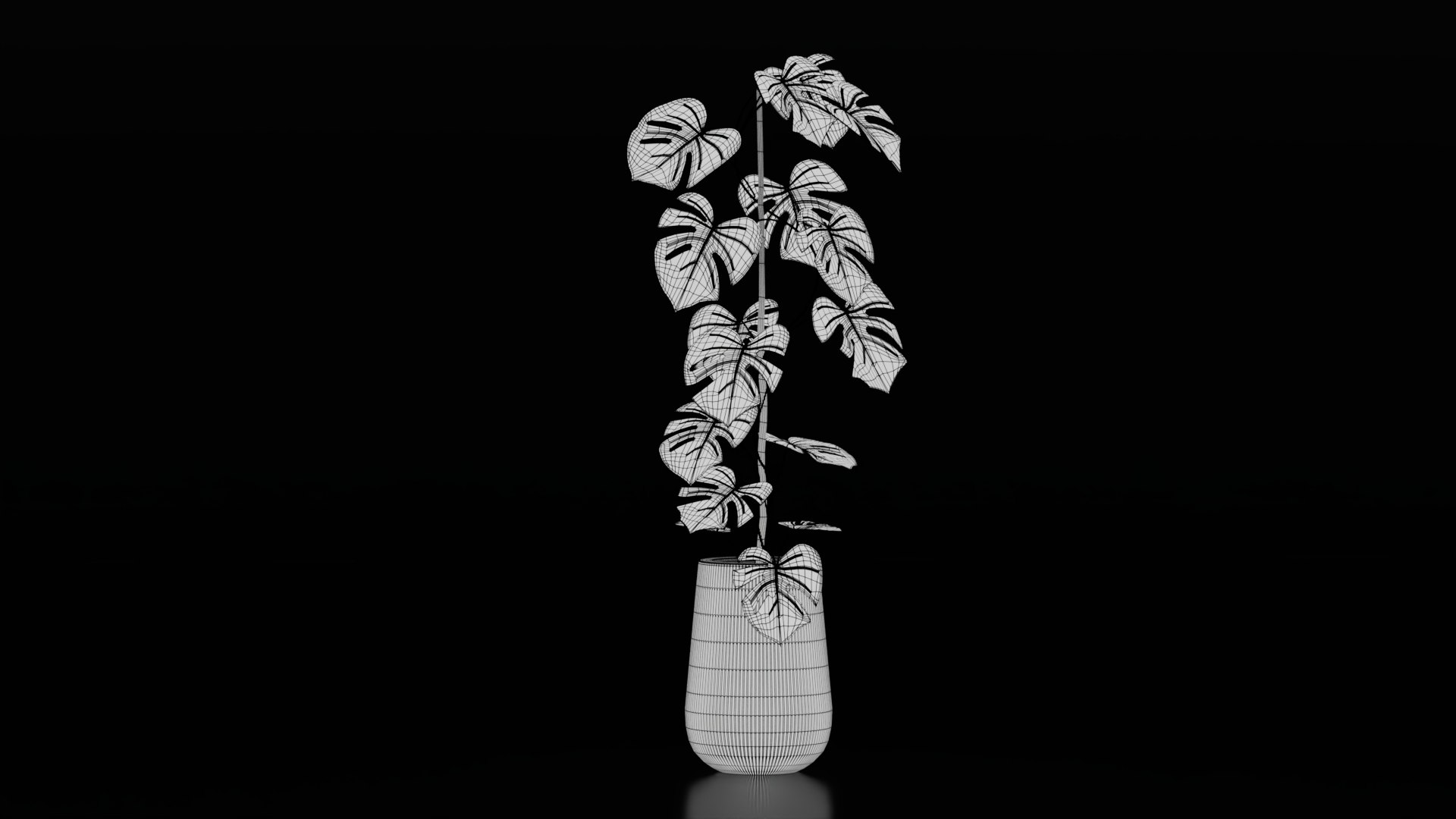 3D model Monstera Deliciosa Plant https://p.turbosquid.com/ts-thumb/h4/QclPLU/9S/wire1/jpg/1764776835/1920x1080/fit_q87/9e633d198dbe9088eee7439a4fa3ad5e35e19255/wire1.jpg