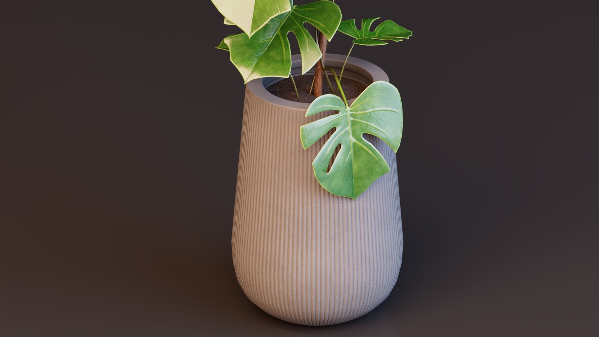 3D model Monstera Deliciosa Plant https://p.turbosquid.com/ts-thumb/h4/QclPLU/Dv/plant4/jpg/1764776833/1920x1080/fit_q87/93d7e98e47a43bd22ba13944a7d7772c3cde3e29/plant4.jpg