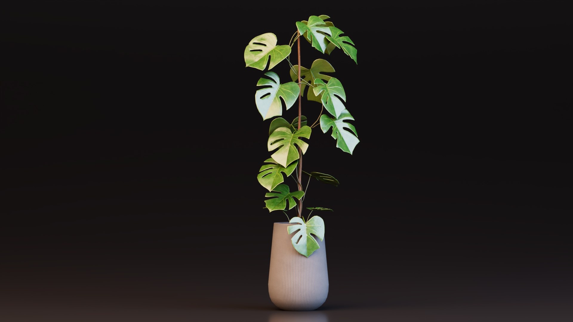 3D model Monstera Deliciosa Plant https://p.turbosquid.com/ts-thumb/h4/QclPLU/oQ/plant1/jpg/1764776836/1920x1080/fit_q87/74d462e97521bc015d2672cf4d78a9f656b0632b/plant1.jpg