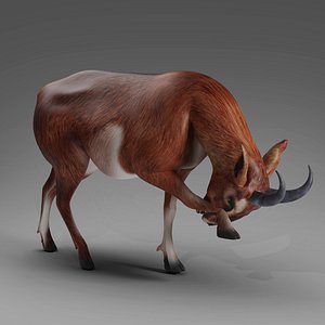 Goat 04 Rigged and Animation 3D model
