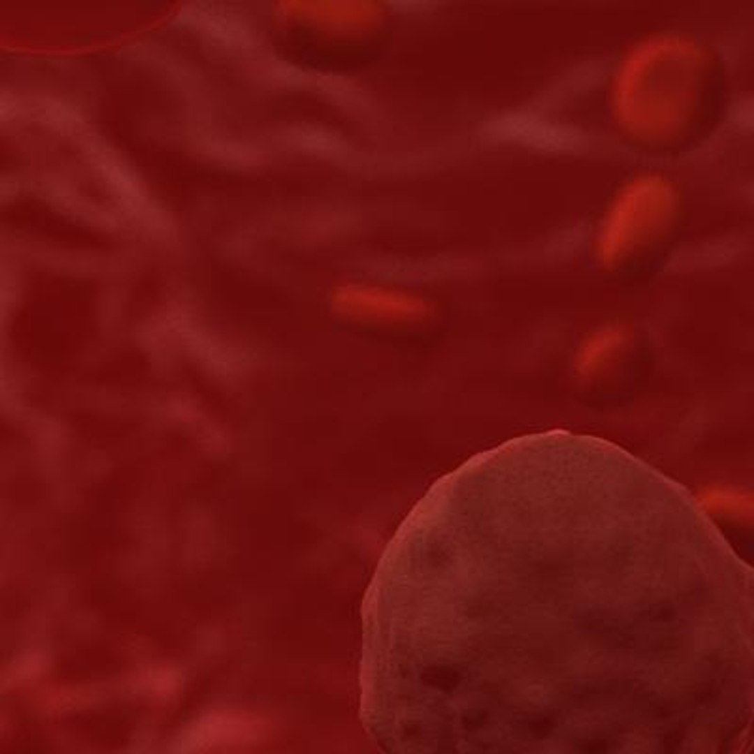 20 viruses virus 3d model https://p.turbosquid.com/ts-thumb/h4/c7Fqg8/0C5NPTYl/granulosis6/jpg/1284131947/1920x1080/fit_q87/af6db54dd7eb0912359ee62e6bd0eb16292836a8/granulosis6.jpg