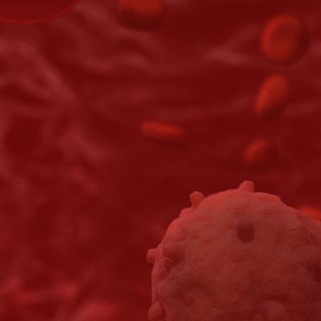 20 viruses virus 3d model https://p.turbosquid.com/ts-thumb/h4/c7Fqg8/1I0Rtmfl/gammretrovirus6/jpg/1284131926/1920x1080/fit_q87/444db2c4d9addd76a9d95564f19a7e52b7c55d9a/gammretrovirus6.jpg