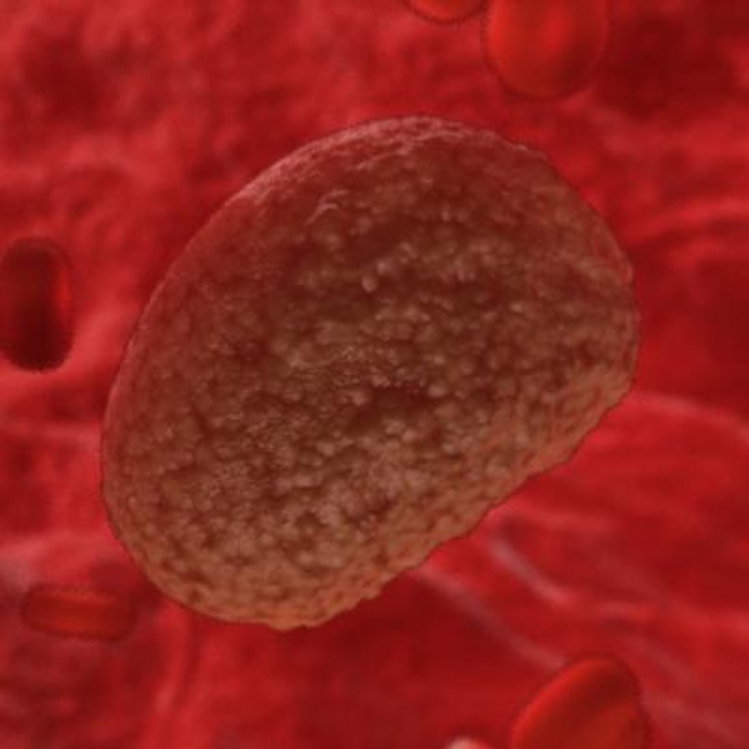 20 viruses virus 3d model https://p.turbosquid.com/ts-thumb/h4/c7Fqg8/1MsCckXb/ichnovirus1/jpg/1284132071/1920x1080/fit_q87/794401b83e472d85ded72979d4485a1e0954cbee/ichnovirus1.jpg
