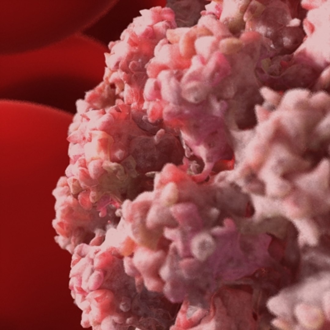 20 viruses virus 3d model https://p.turbosquid.com/ts-thumb/h4/c7Fqg8/1tPgAaDr/2/jpg/1284131888/1920x1080/fit_q87/551926df9dfbfc36faedb639e8ddc4d8c4bcedce/2.jpg