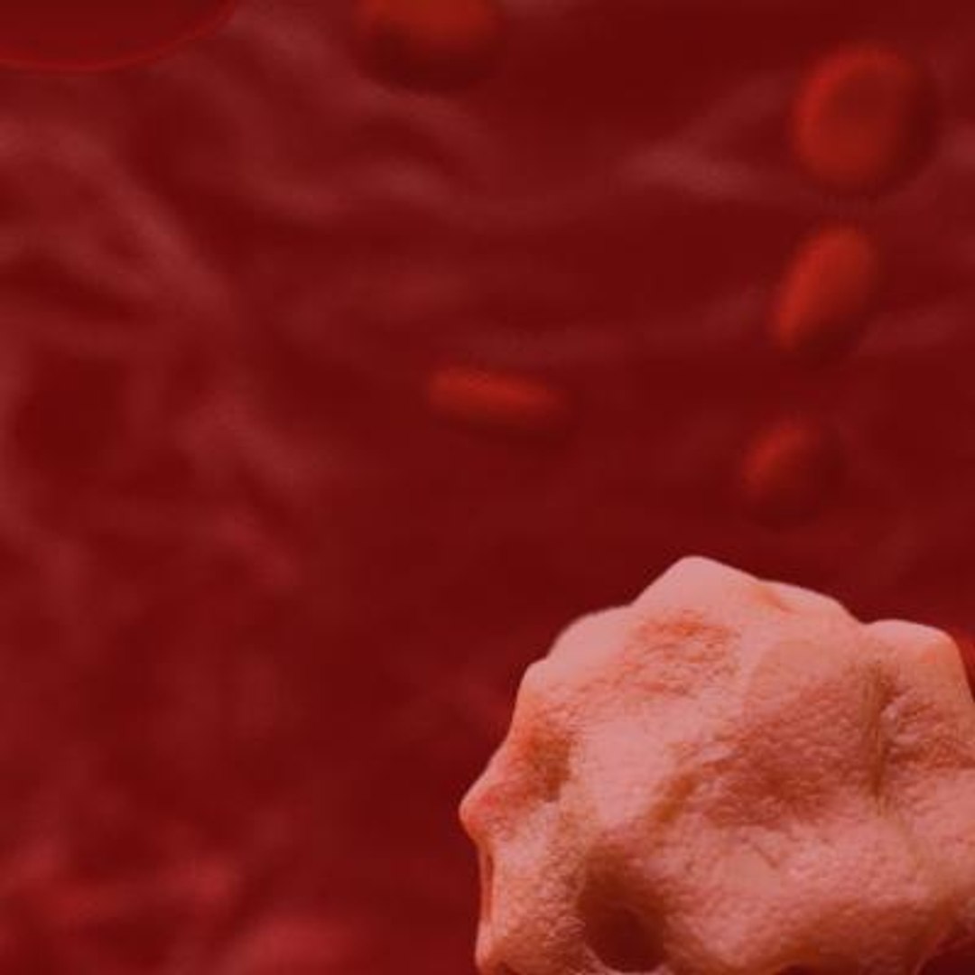 20 viruses virus 3d model https://p.turbosquid.com/ts-thumb/h4/c7Fqg8/38FwCGyu/hepatovirus6/jpg/1284131980/1920x1080/fit_q87/dbe7e34d37abd00a03f401a0425609b509be1d5a/hepatovirus6.jpg