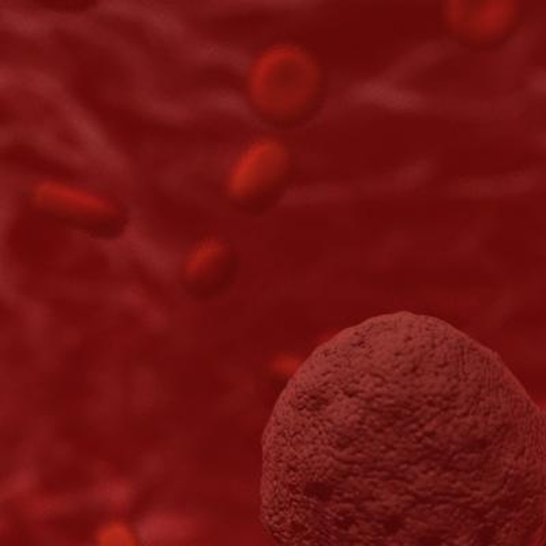 20 viruses virus 3d model https://p.turbosquid.com/ts-thumb/h4/c7Fqg8/3esxlEyU/ganulosis7/jpg/1284131947/1920x1080/fit_q87/c73a36b63c7a76e216692db76c9474cf8113fdbc/ganulosis7.jpg