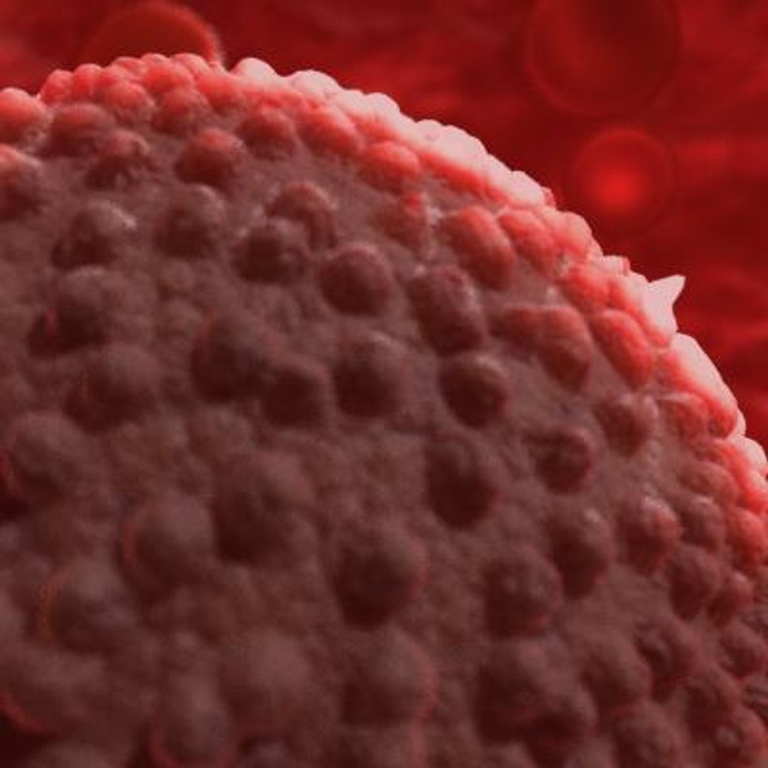 20 viruses virus 3d model https://p.turbosquid.com/ts-thumb/h4/c7Fqg8/5XyZqAqq/flavivirus2/jpg/1284131907/1920x1080/fit_q87/2463e85021daa1c73252d0e64dd546fdc64ac5f2/flavivirus2.jpg