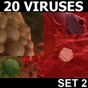 20 viruses virus 3d model