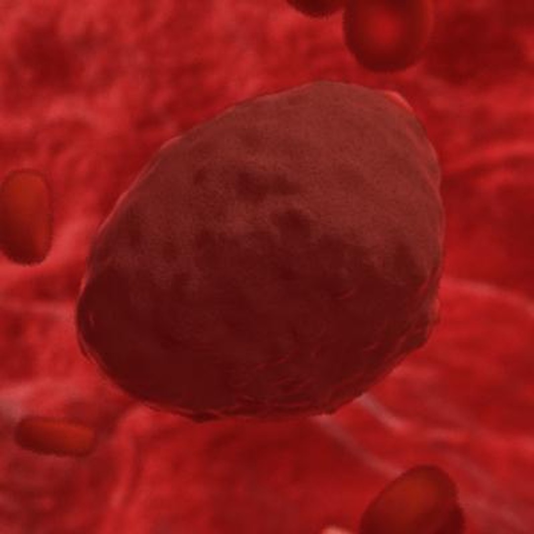 20 viruses virus 3d model https://p.turbosquid.com/ts-thumb/h4/c7Fqg8/5sp02qqt/ganulosis1/jpg/1284131947/1920x1080/fit_q87/3d87ad8027e3a617d0e183304500765f8d3148a5/ganulosis1.jpg