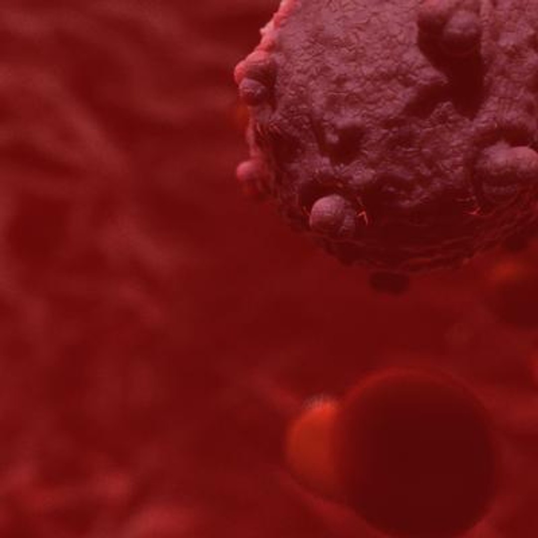 20 viruses virus 3d model https://p.turbosquid.com/ts-thumb/h4/c7Fqg8/6F7kARUx/humanfoamyvirus4/jpg/1284132022/1920x1080/fit_q87/560f4223baa3ceb7921086b2804949ac1ffb707b/humanfoamyvirus4.jpg