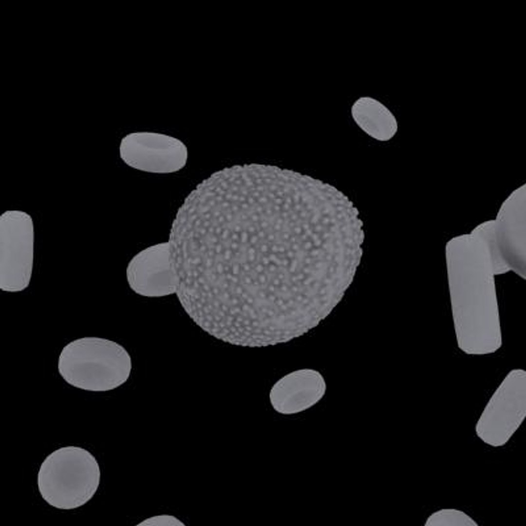 20 viruses virus 3d model https://p.turbosquid.com/ts-thumb/h4/c7Fqg8/6KUbCPWH/flavivirus9/jpg/1284131907/1920x1080/fit_q87/635cef8cf9a84cb5c30cacb96bbbaa98d47d55d4/flavivirus9.jpg