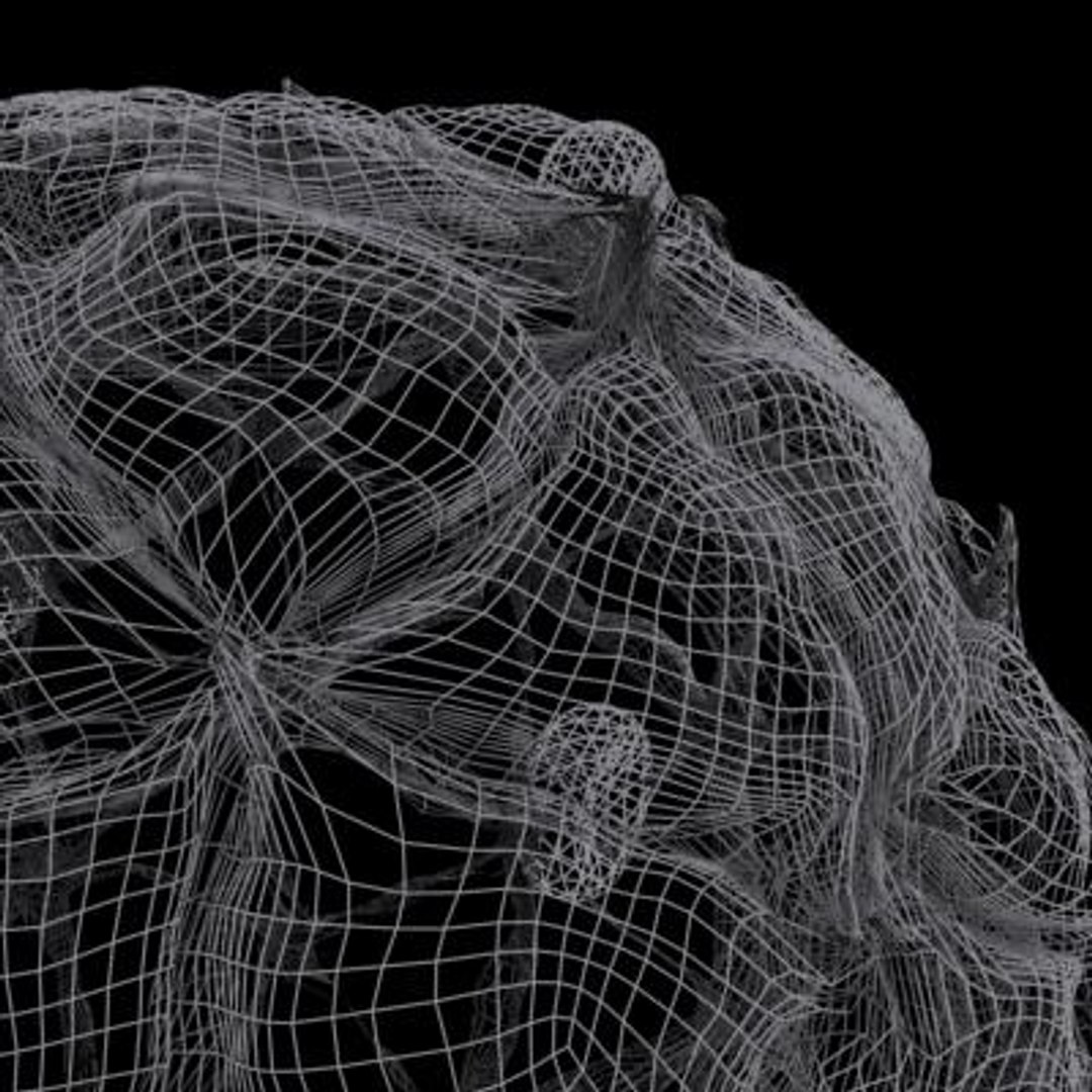 20 viruses virus 3d model https://p.turbosquid.com/ts-thumb/h4/c7Fqg8/6NxYU5rY/blackbeetlevirus14/jpg/1284131885/1920x1080/fit_q87/6231d91cc3038baae10ad2c27dc5f7cbdb3f5872/blackbeetlevirus14.jpg